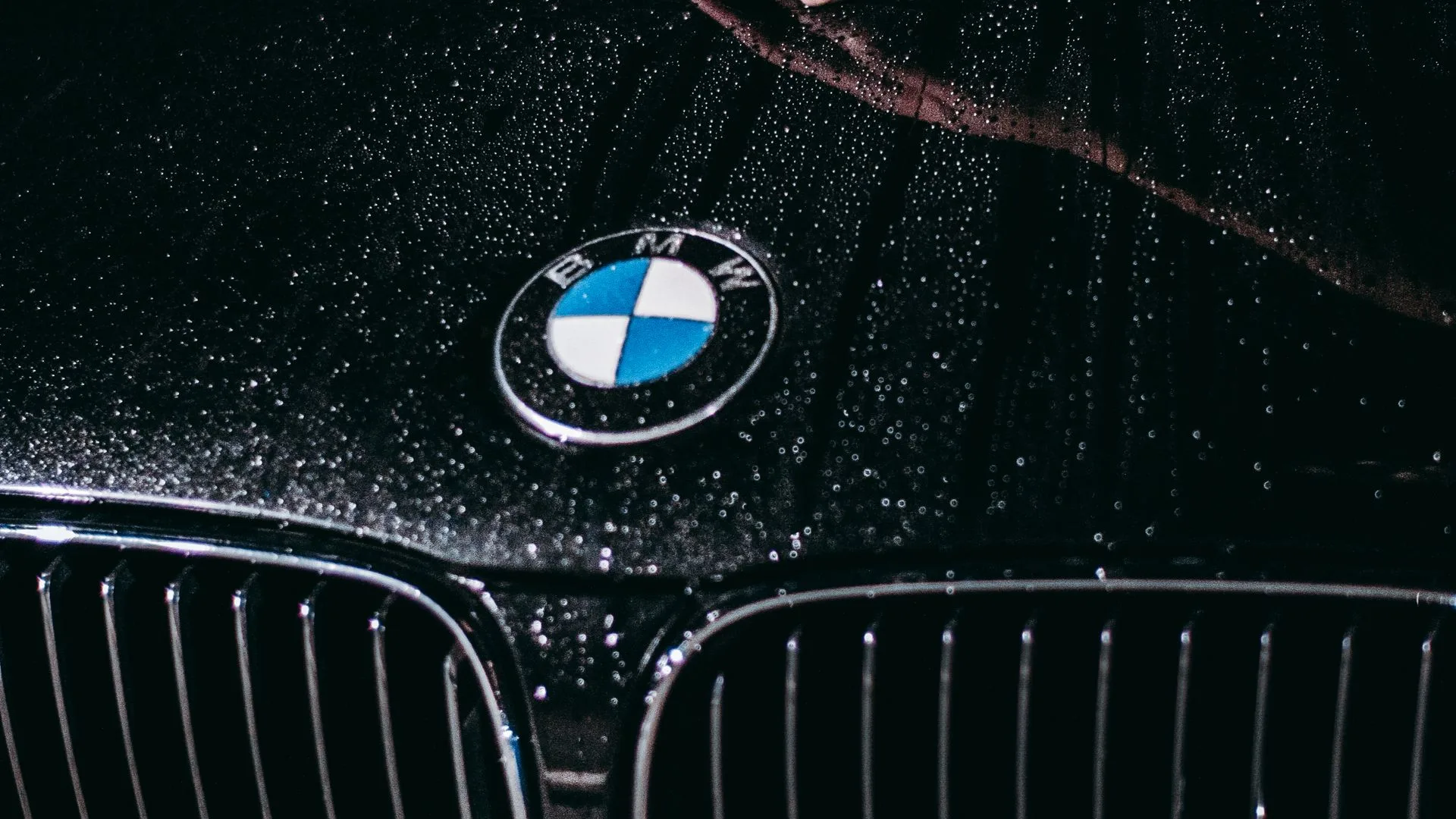 Professional auto detailing
